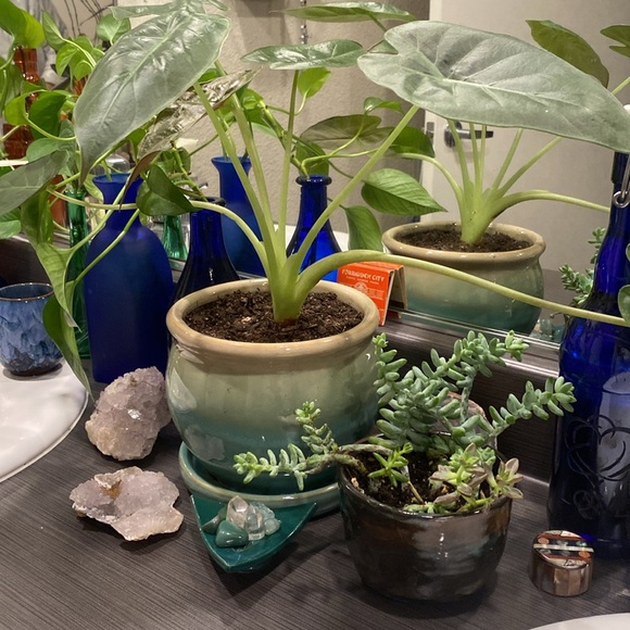 _b_a_b_e_l_a_n_d_ _ - Picture 3 of 11